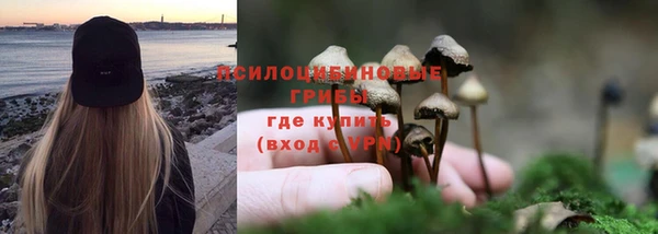 а пвп мука Новозыбков