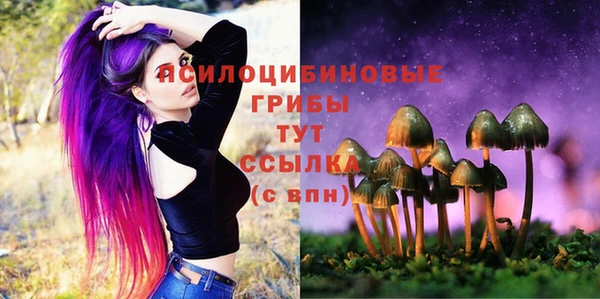 хмурый Нефтекумск