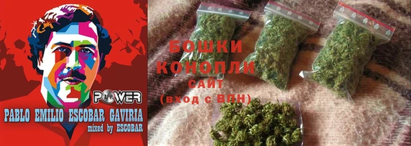 гашик Новодвинск