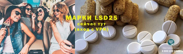 хмурый Нефтекумск