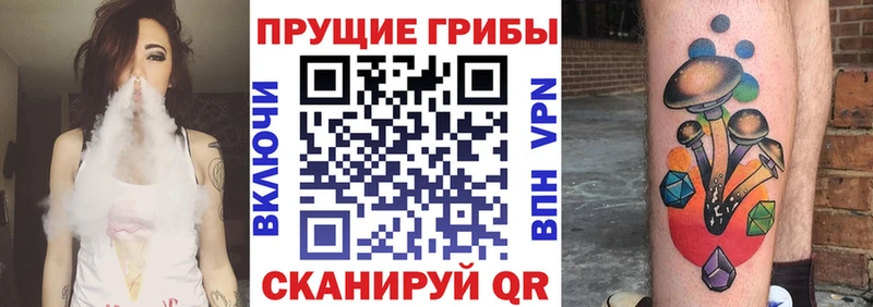 Купить  Суджа  Псилоцибиновые грибы Magic Shrooms 