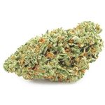 Шишки OG Kush  (Гидропоника, бошки) VHQ в Судже